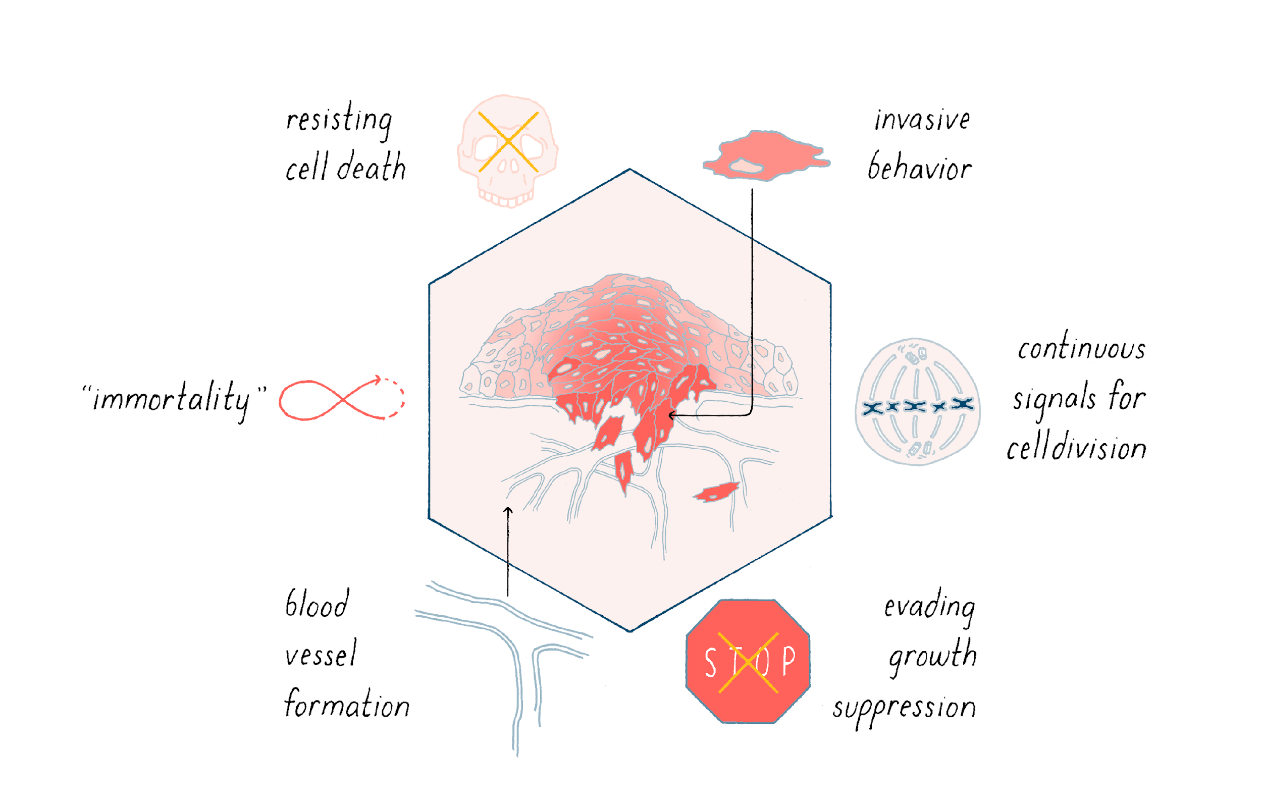 Cell Biology, Genetics & Neuroscience | Narratives & Key