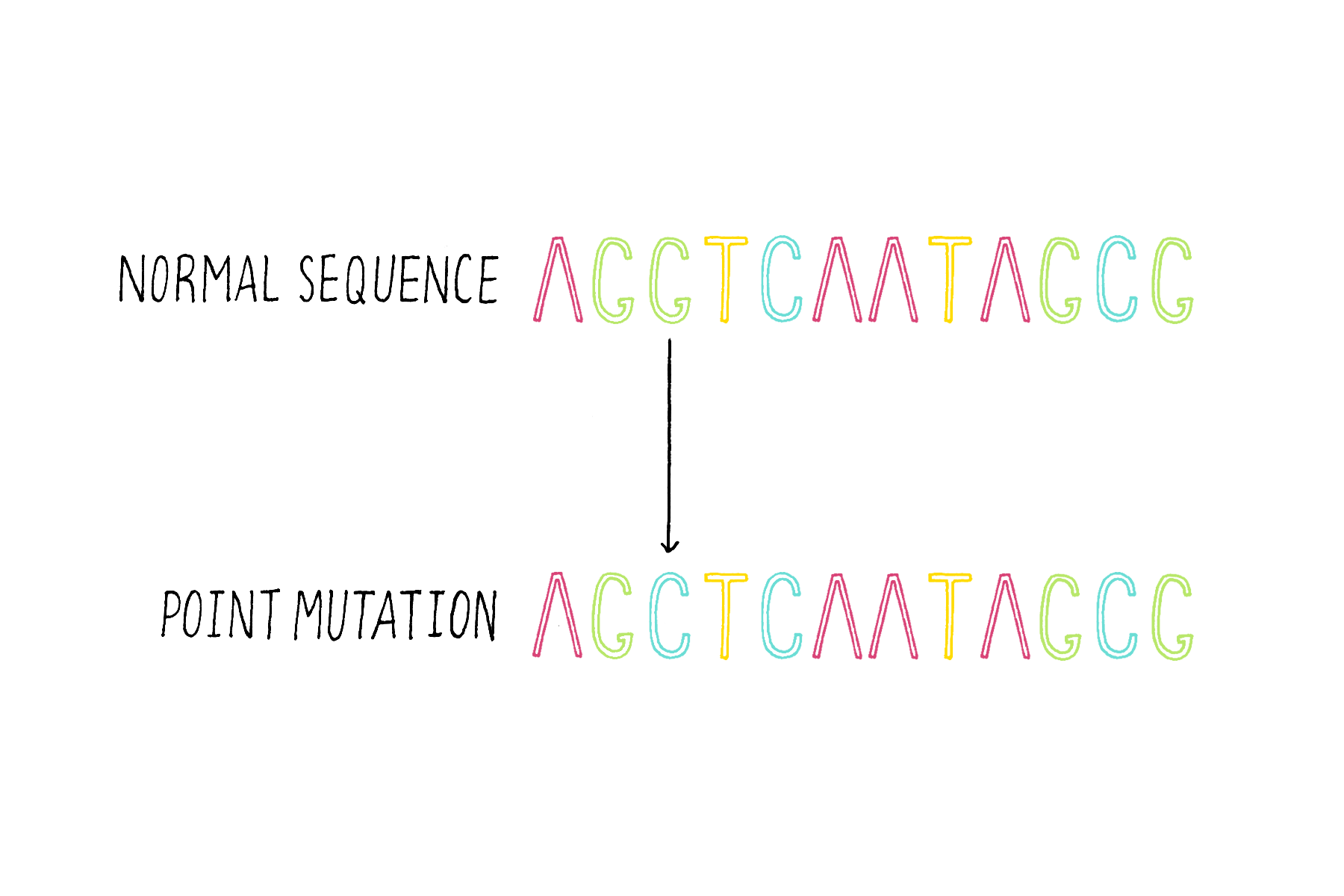 Mutations Drivers Of Evolution Disease Doug Koshland