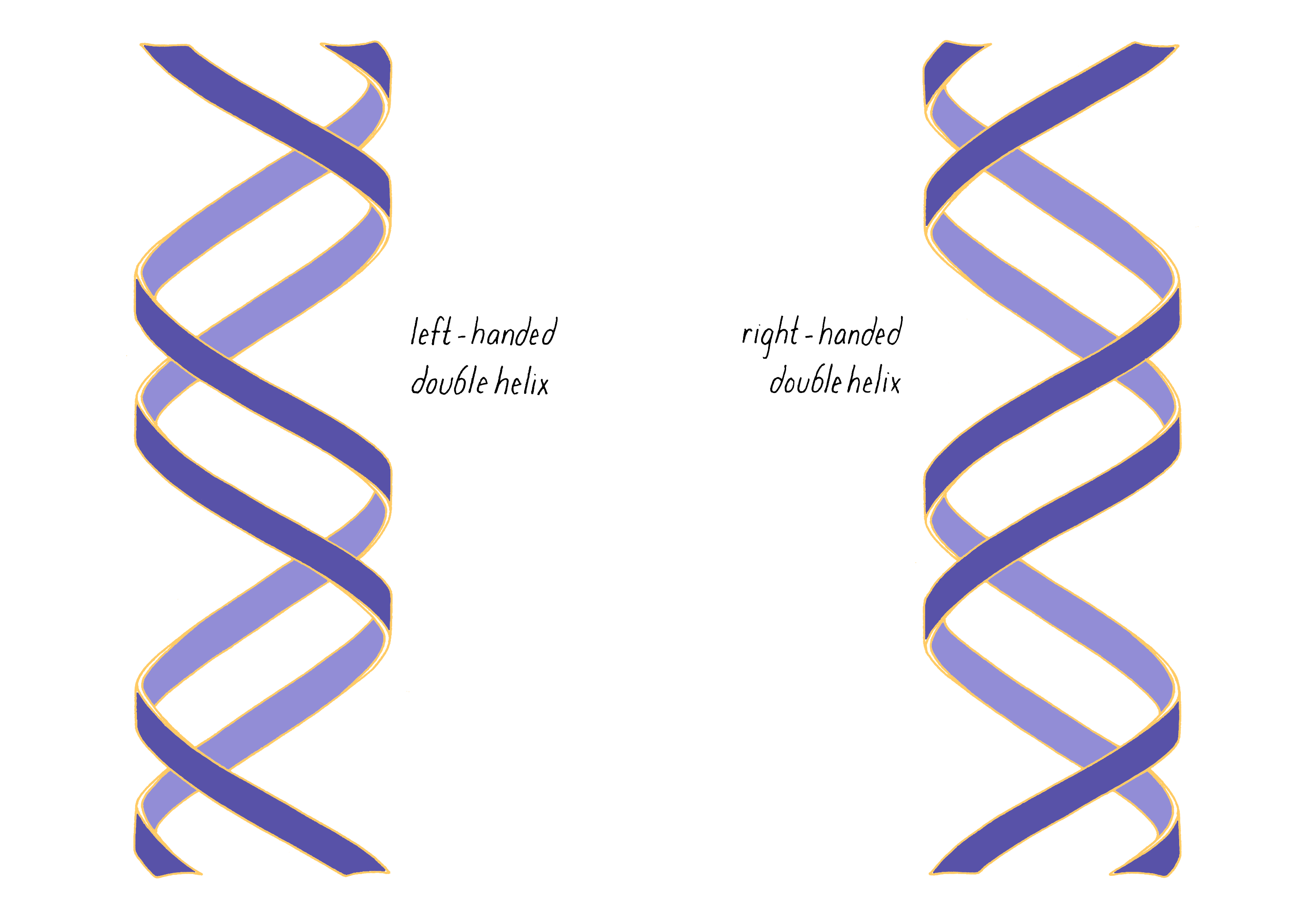 Left Handed Letter Formation Guide