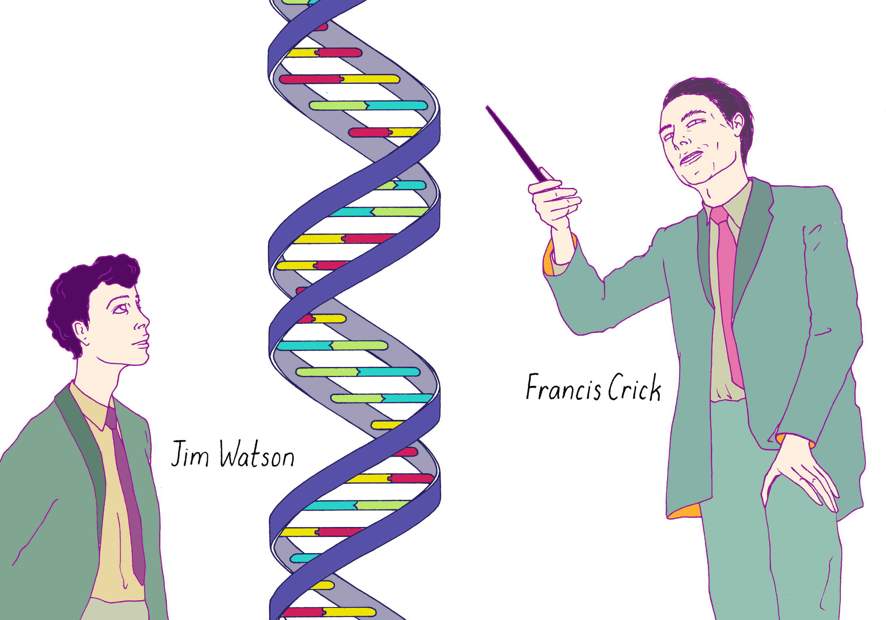 Watson Crick DNA