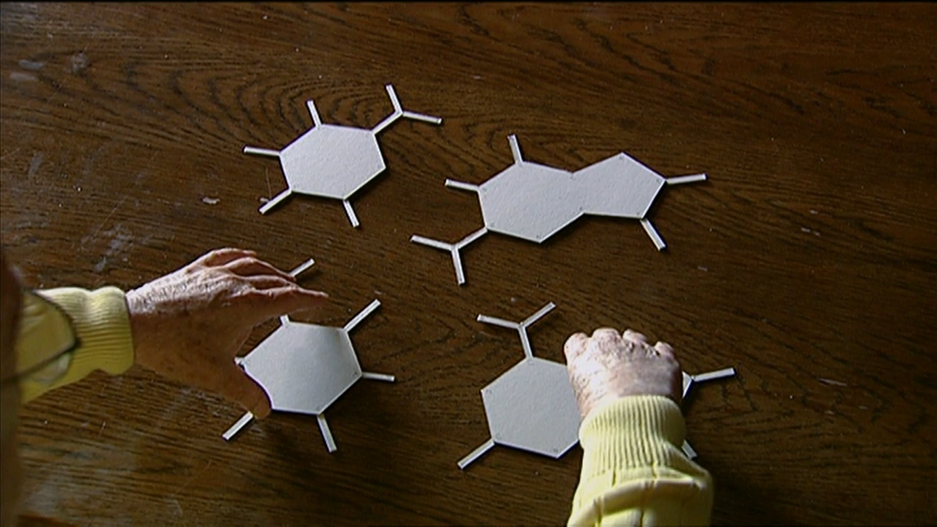 The Structure of DNA | by Ron Vale